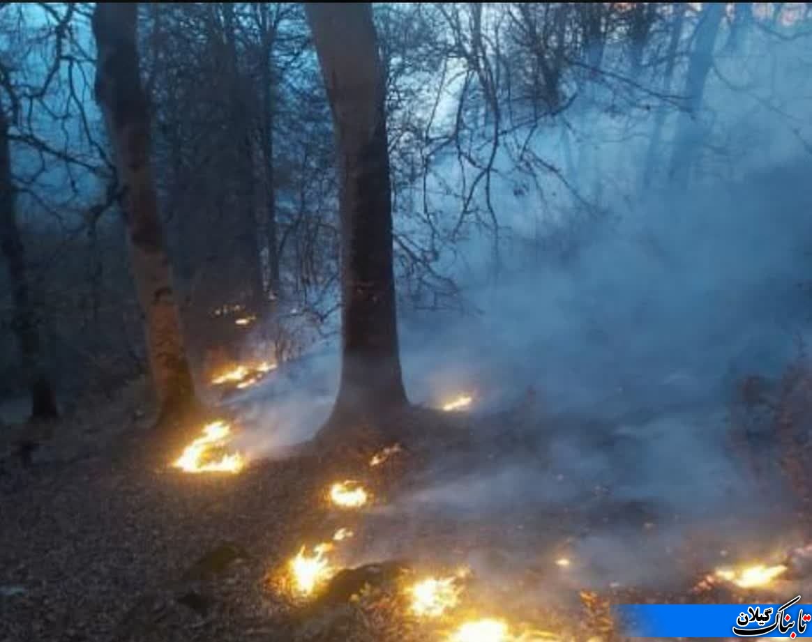 مهار آتش سوزی در جنگل‌های درفک