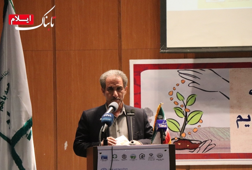 توسعه ۵۰۰ هکتار باغ در اراضی شیب&zwnj;دار ایلام/ کشاورزی حفاظتی راهی برای کاهش هزینه&zwnj;ها است